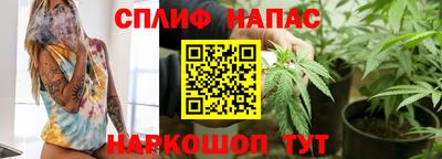 СК Вязьма