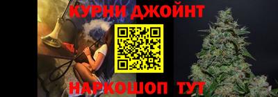 СК Вязьма